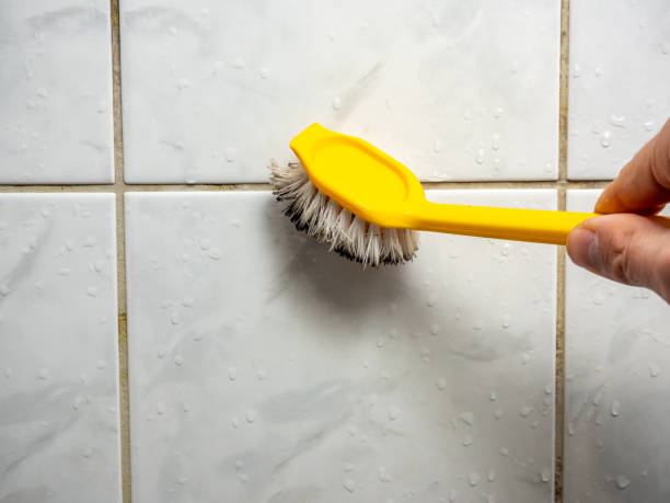 Reliable Comanche, TX Mold Removal Solutions