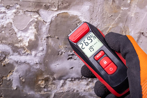 Best Affordable Mold Removal  in Comanche, TX