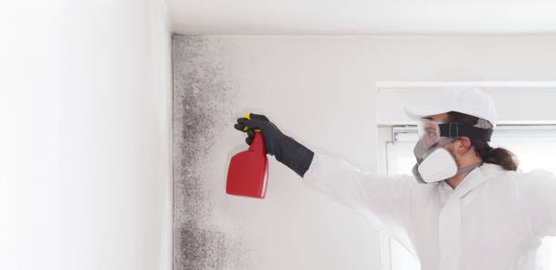 Best Emergency Mold Removal  in Comanche, TX